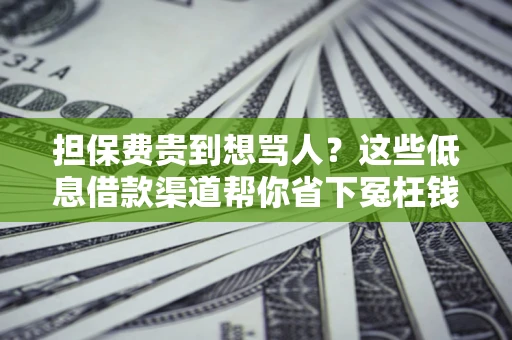 北京担保费贵到想骂人？这些低息借款渠道帮你省下冤枉钱