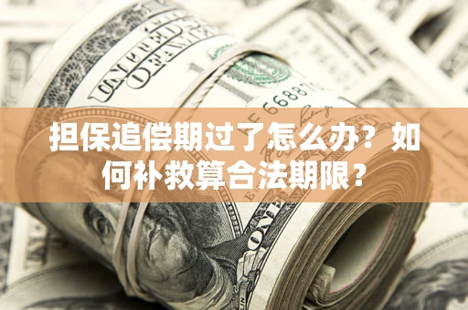 北京担保追偿期过了怎么办？如何补救算合法期限？
