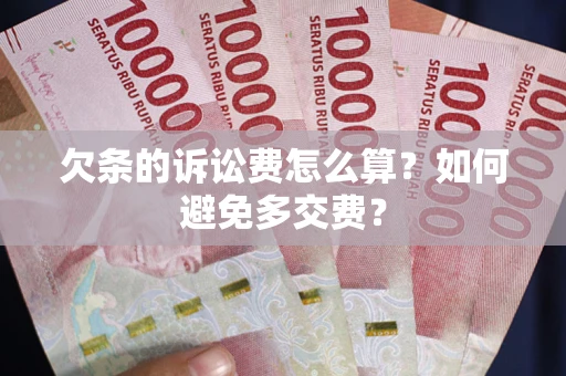 北京欠条的诉讼费怎么算？如何避免多交费？