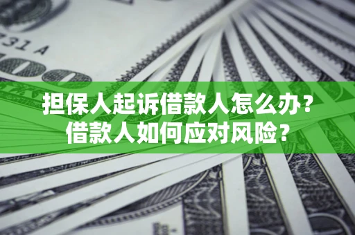 北京担保人起诉借款人怎么办？借款人如何应对风险？