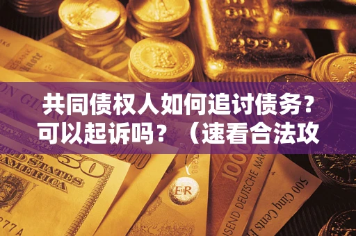 北京共同债权人如何追讨债务？可以起诉吗？（速看合法攻略）