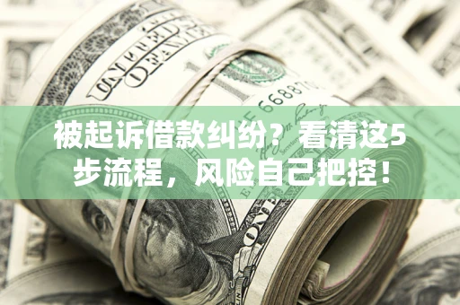 北京被起诉借款纠纷？看清这5步流程，风险自己把控！